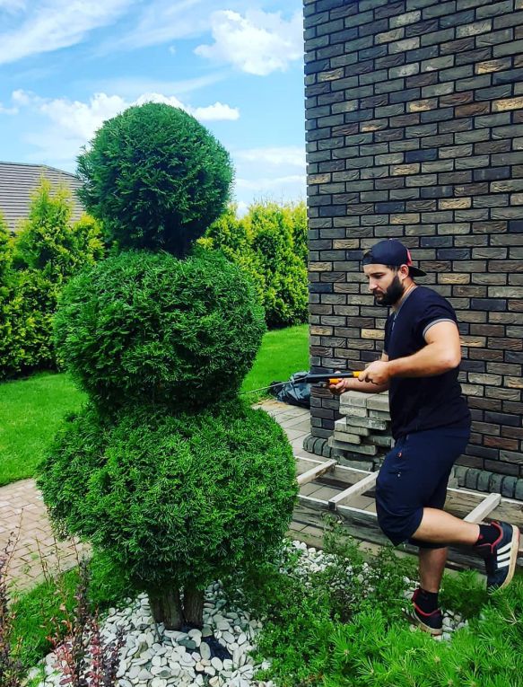топиарная стрижка кустарников могилев
