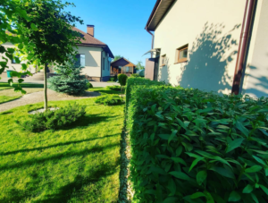 ландшафтный дизайн цена