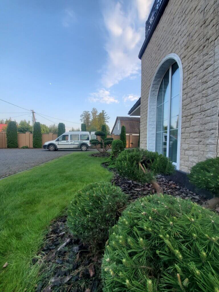 озеленение могилев