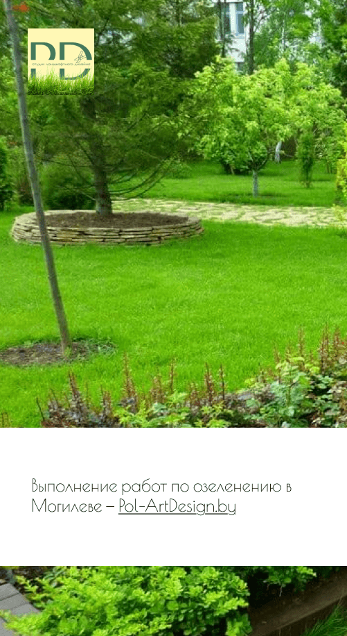 выполнение работ по озеленению